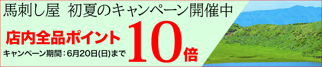 2026年6月 父の日セール 全品ポイント10倍
